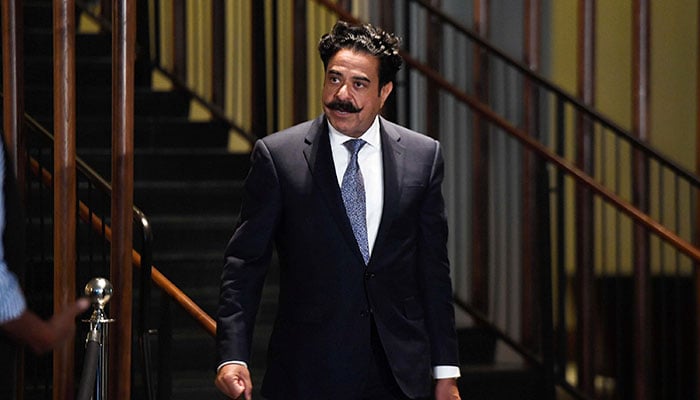 From Humble Beginnings to Billionaire Success: The Inspiring Journey of Shahid Khan